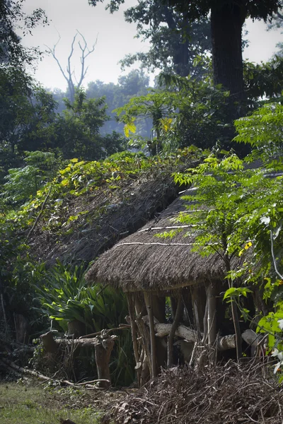 Taru village in Terai remote area, Nepal — Stock Photo, Image