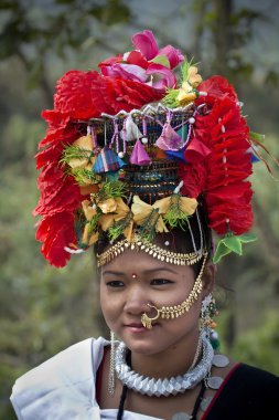 Kültür Programı - fil Festivali, chitwan 2013, nepal