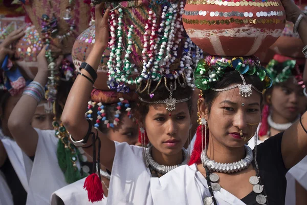 Programme culturel - Festival des éléphants, Chitwan 2013, Népal — Photo