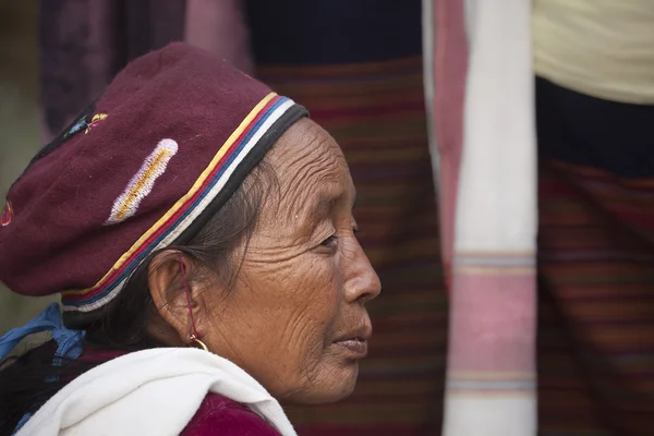 Kültür Programı - fil Festivali, chitwan 2013, nepal — Stok fotoğraf