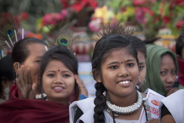 象祭り、チトワン 2013, ネパール — ストック写真