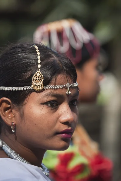 Slon festival, Chitwan 2013, nepal — Stock fotografie