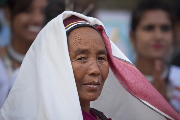 Elefantenfest, Chitwan 2013, Nepal — Stockfoto