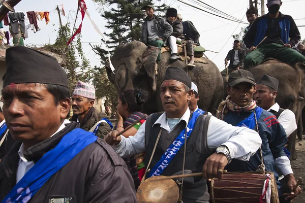 Elefantenfest, Chitwan 2013, Nepal — Stockfoto