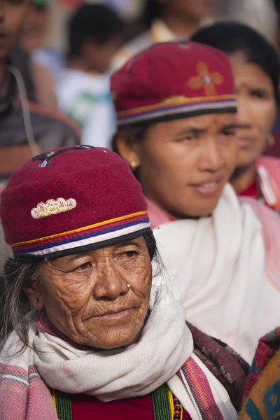 Elefantenfest, Chitwan 2013, Nepal — Stockfoto