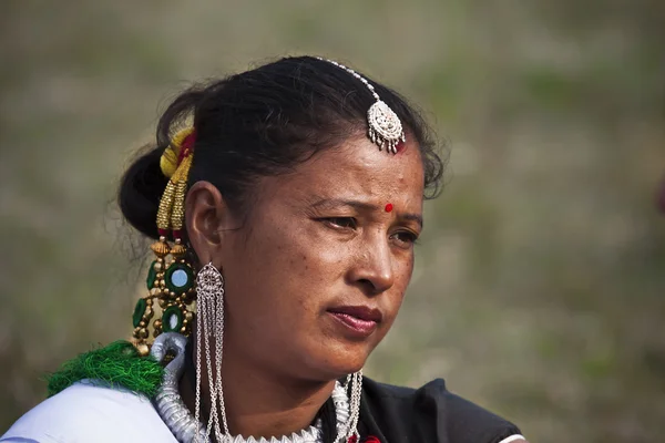 Słoń Festiwal, chitwan 2013, nepal — Zdjęcie stockowe