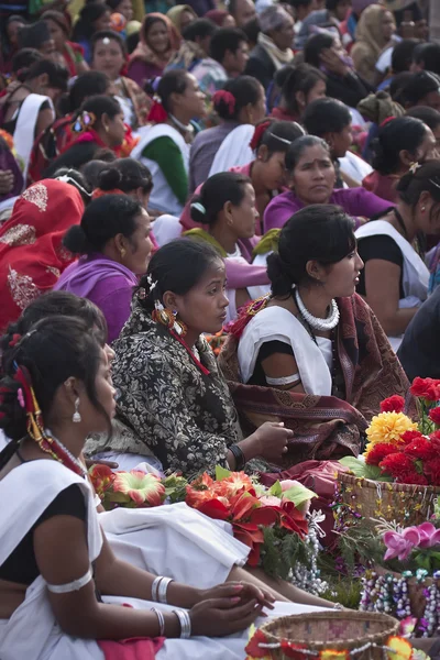 Menigte van vrouw tijdens olifant festival, 2013 chitwan, nepal — Stockfoto
