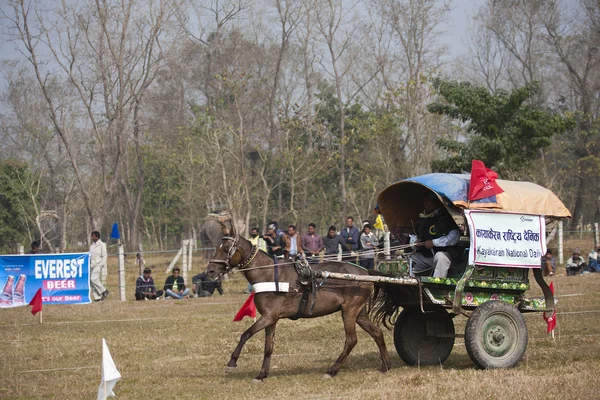 Pferdewagenrennen - Elefantenfest, Chitwan 2013, Nepal — Stockfoto