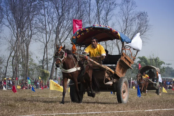馬カートのレース - ネパール、チトワン 2013年象祭り — ストック写真