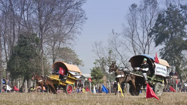 Course de chariots de chevaux - Festival des éléphants, Chitwan 2013, Népal — Photo