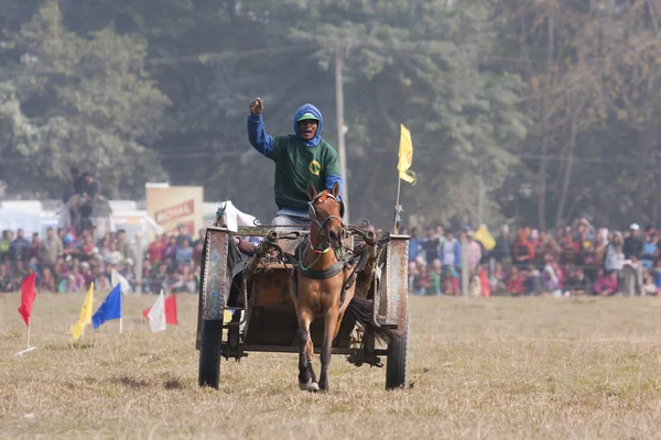 Carreras de caballos - Festival del elefante, Chitwan 2013, Nepal — Foto de Stock