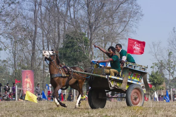 Pferdewagenrennen - Elefantenfest, Chitwan 2013, Nepal — Stockfoto