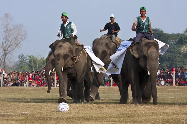 Juego de fútbol - Festival del elefante, Chitwan 2013, Nepal — Foto de Stock