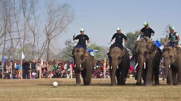 Fußballspiel - Elefantenfest, Chitwan 2013, Nepal — Stockfoto