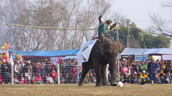 Fotbal - sloní festival, chitwan 2013, Nepál — Stock fotografie