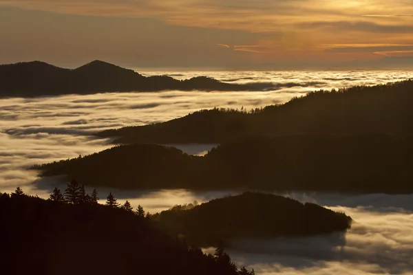 Suasana musim dingin di montain dengan hutan cemara berawan — Stok Foto