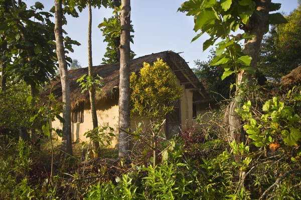 Traditional terai house in middle of jungle — Stock Photo, Image