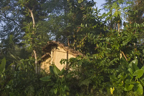 Traditional terai house in middle of jungle — Stock Photo, Image