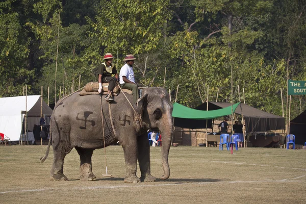 Olifantenpolo in nepal — Stockfoto