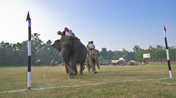 Een punt scoren tijdens olifant polo spel — Stockfoto