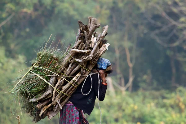 Taru woman carrying wood to cook. — Stock Photo, Image