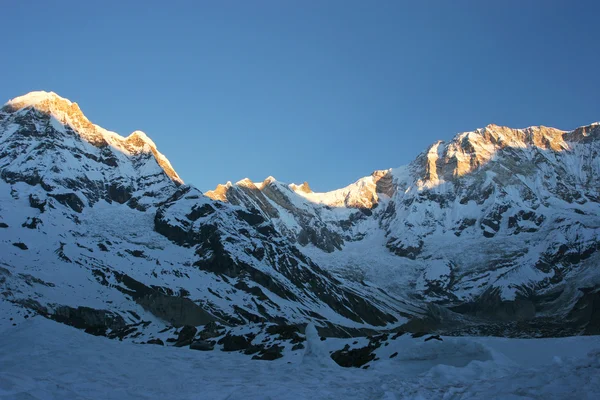 Annapurna på solnedgången, himalaya bergen, nepal — Stockfoto