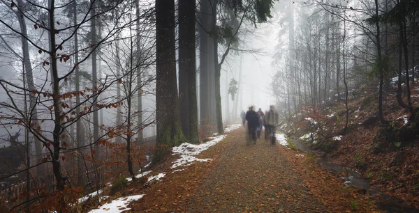 Panorama of walkers in misty forest at autumn Stock Photo