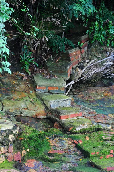 Verlaten stappen — Stockfoto