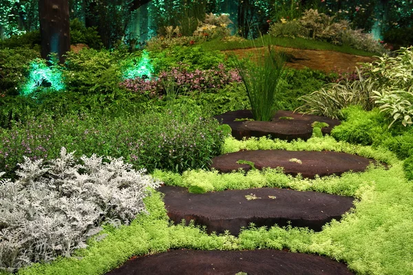 Garden with wooden stepping path landscape — Stock Photo, Image