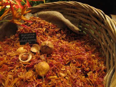 Bütün Hindistan cevizi bakla