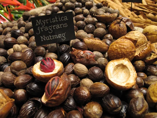 Nutmegs dispuestos en el paisaje —  Fotos de Stock