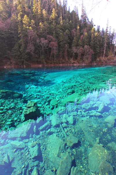 Lago de cinco colores en Jiuzhaigou — Foto de Stock