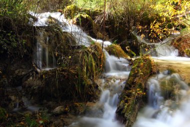 jiuzhaigou Vadisi Rapids