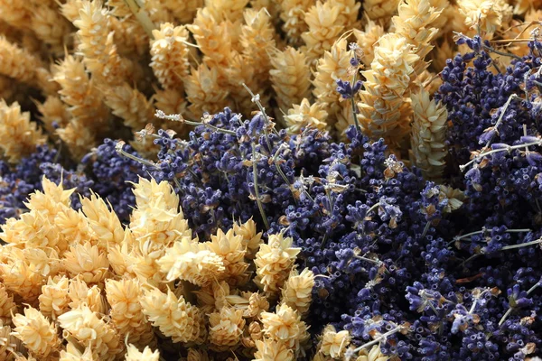 Trigo e lavanda de cima — Fotografia de Stock