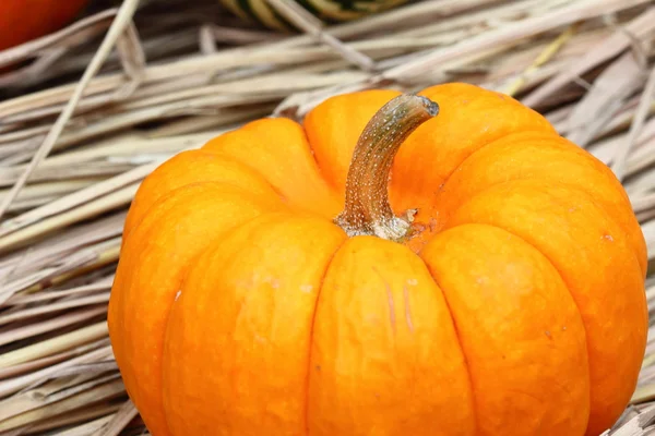 Orange pumpkin on straw — Stock Photo, Image