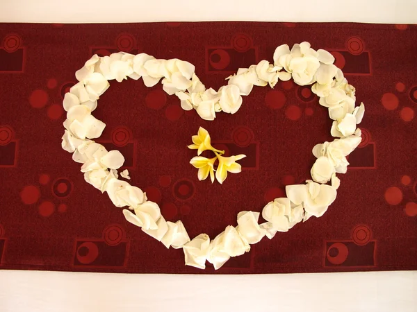 Flower petals in heart shape — Stock Photo, Image