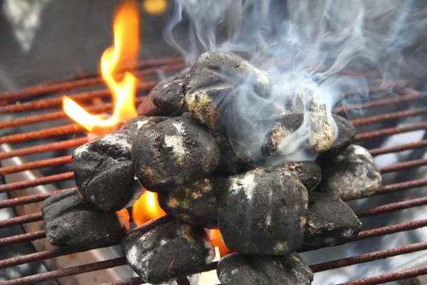 Barbekü karakalem portre — Stok fotoğraf