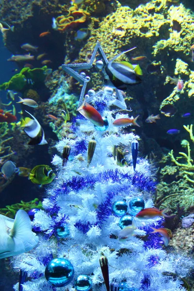 Unterwasser-Weihnachtsbaum Stockbild