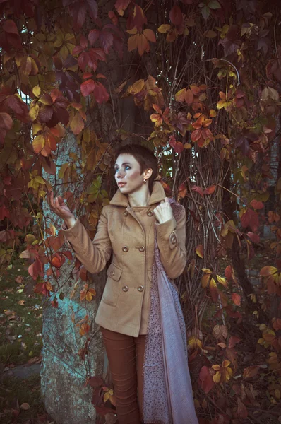 Girl strolling in the autumn garden — Stock Photo, Image