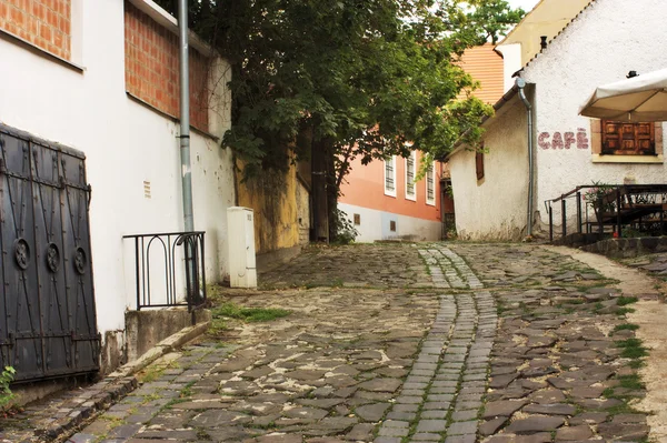 Typický Evropský alej v szentendre Maďarsko — Stock fotografie