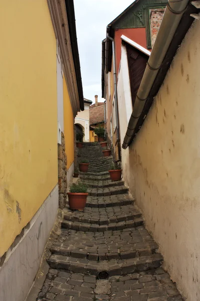 Típico beco europeu em Szentendre Hungria — Fotografia de Stock