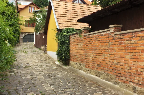 Tipik Avrupa sokak szentendre, Macaristan — Stok fotoğraf