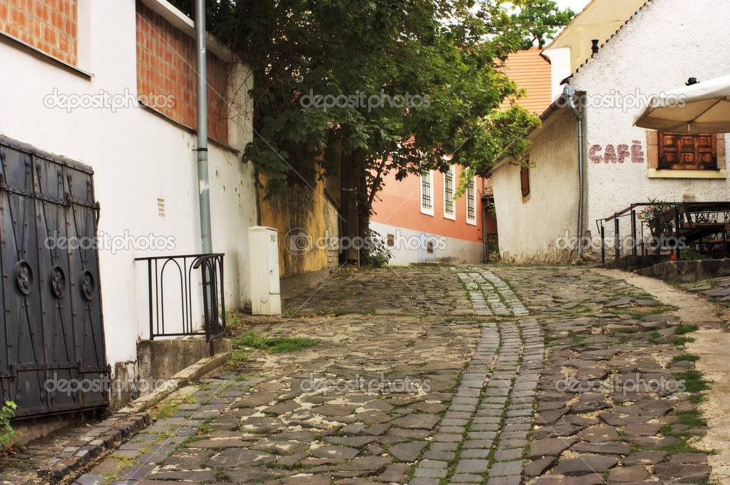 Typical European Alley in Szentendre Hungary