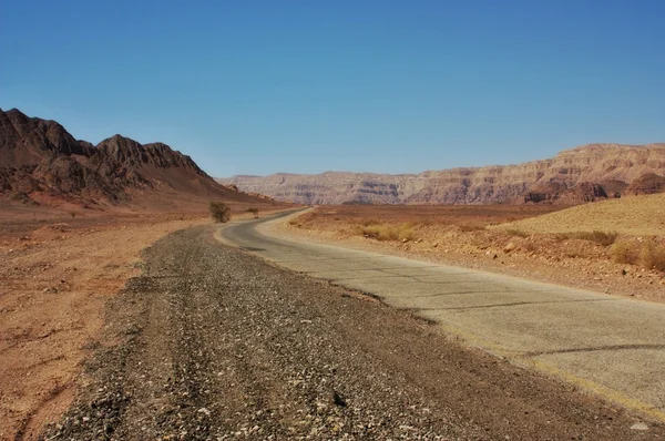 Desert Road — Stock Photo, Image