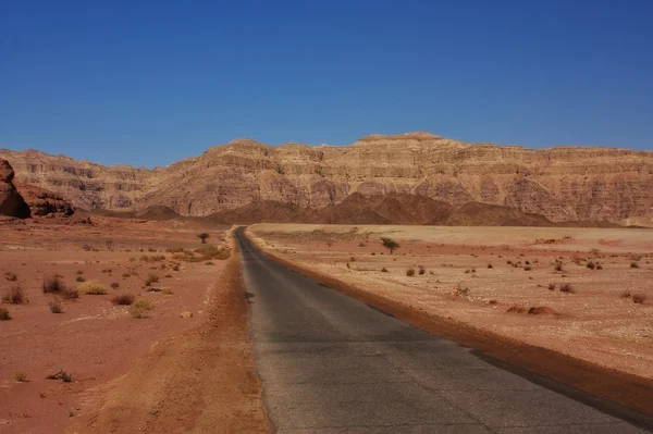 Desert Road — Stock Photo, Image