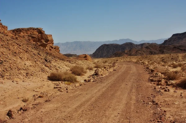 Desert trail — Stock Photo, Image