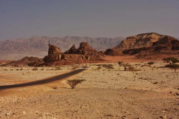 Desert Road — Stock Photo, Image