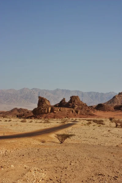 Desert Road — Stock Photo, Image