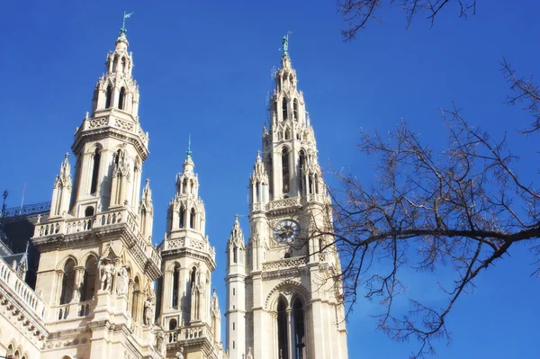 Câmara Municipal de Viena Rathaus — Fotografia de Stock