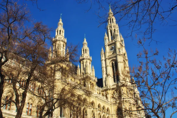 Câmara Municipal de Viena Rathaus — Fotografia de Stock